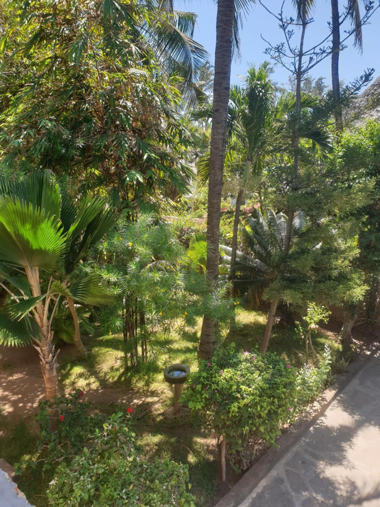 Marijani Holiday Resort Watamu Exterior foto