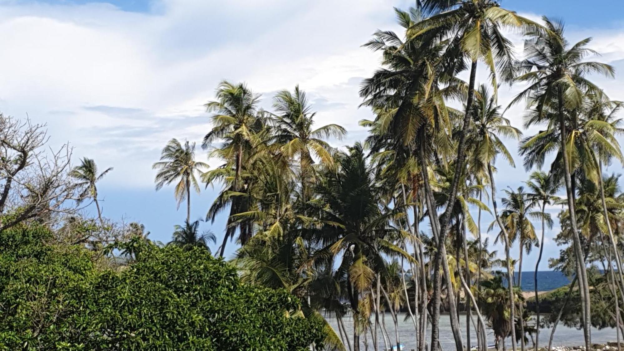 Marijani Holiday Resort Watamu Exterior foto